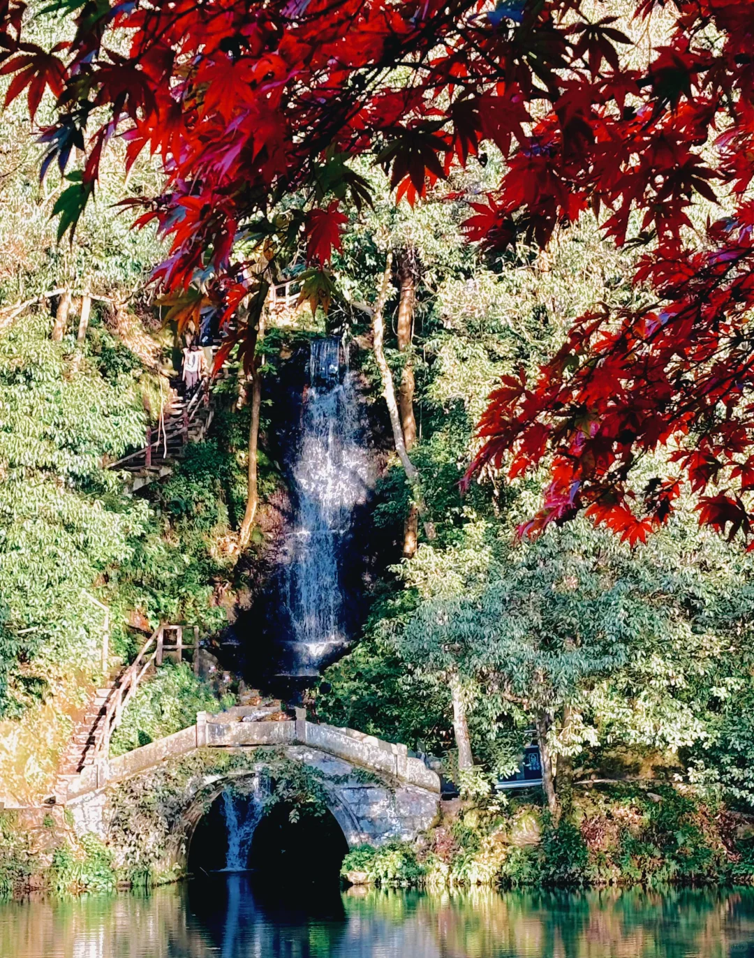 山野之间｜今日九溪美出新高度