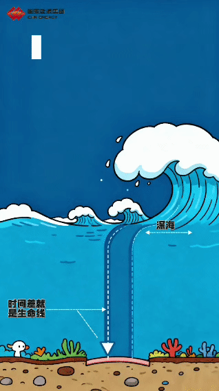 【海啸防御：你的“生命防线”筑牢了吗？】今天，你了解海啸了吗？那些警觉瞬间的判断