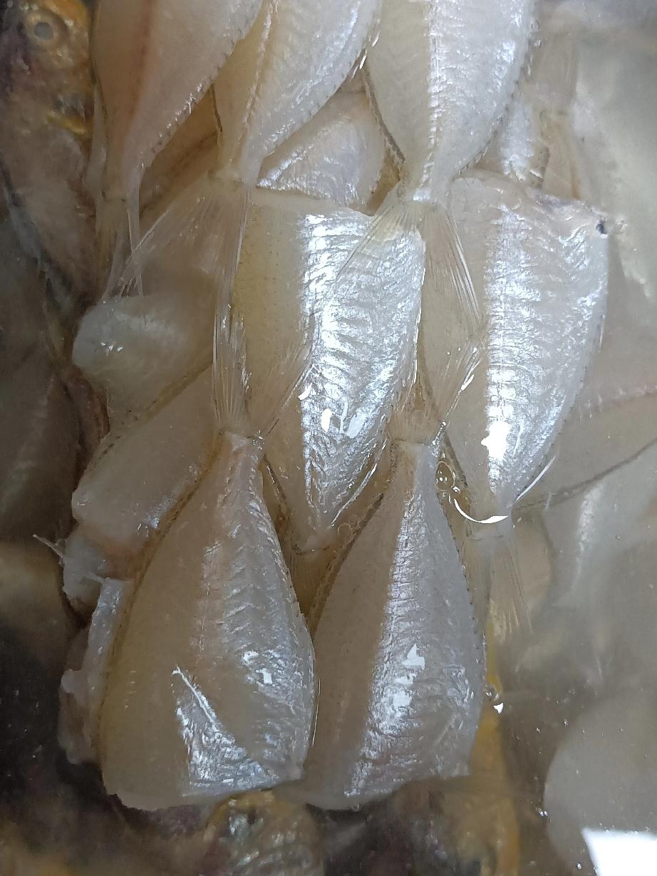 我老公又有点飘了！夸他几句又不知道姓啥啦！

最近我老公表现挺好，我这人实在，好