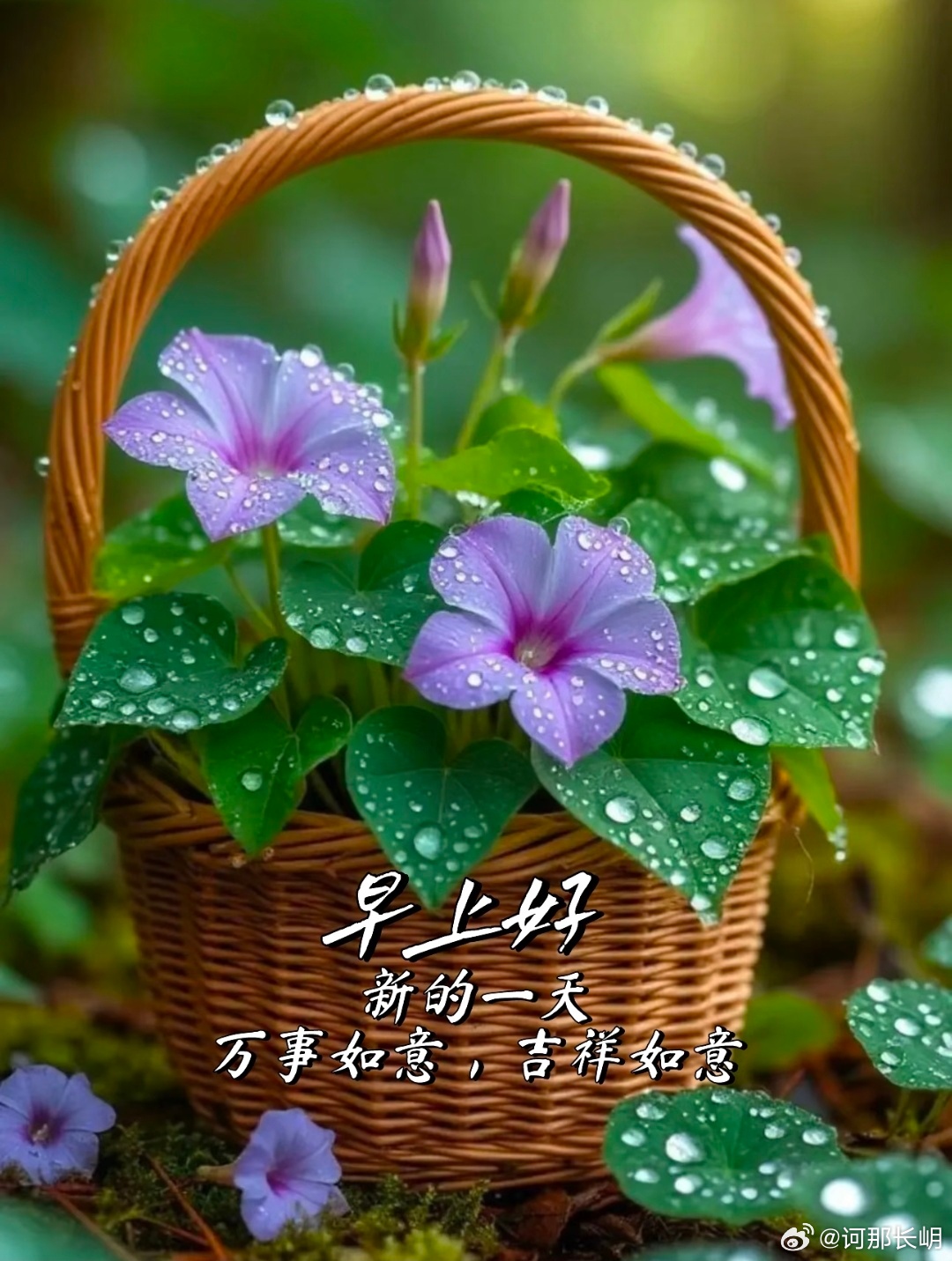 平凡是福，平淡是真，当下即是最好。无论生活怎样，都不要忘记微笑，愿成为自己的太阳