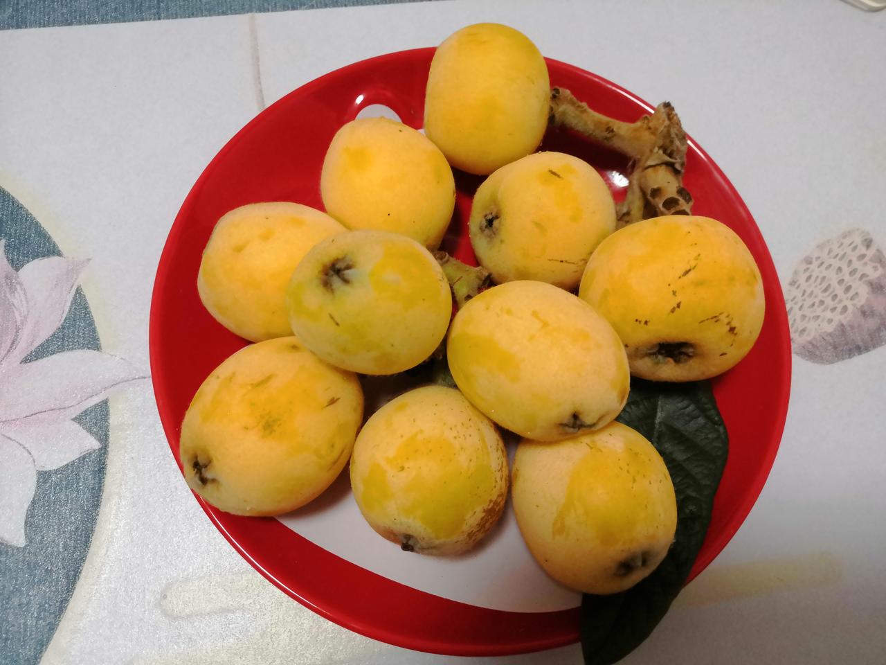 这两天，我发现我们小区的枇杷熟了，金黄的枇杷挂满枝头，十分诱人。


今天我一大