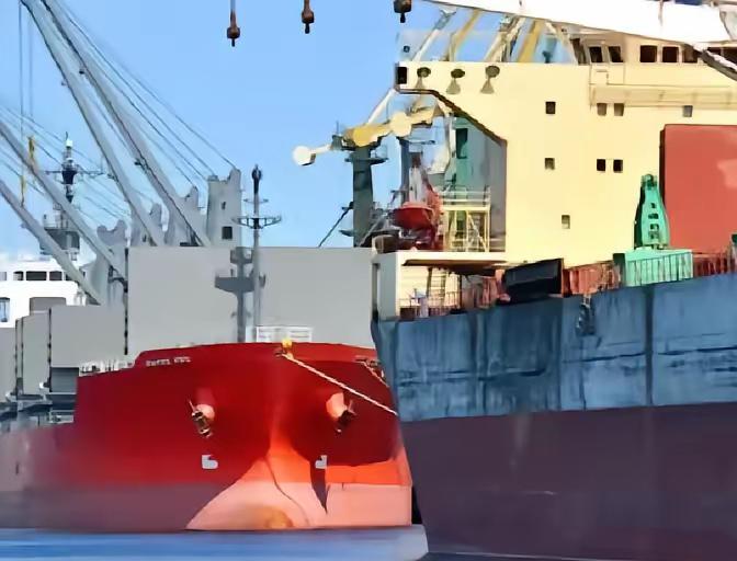 解释不清了！
在中国口岸，一艘满载6.9万吨巴西大豆的货轮被查出混入农药处理的麦