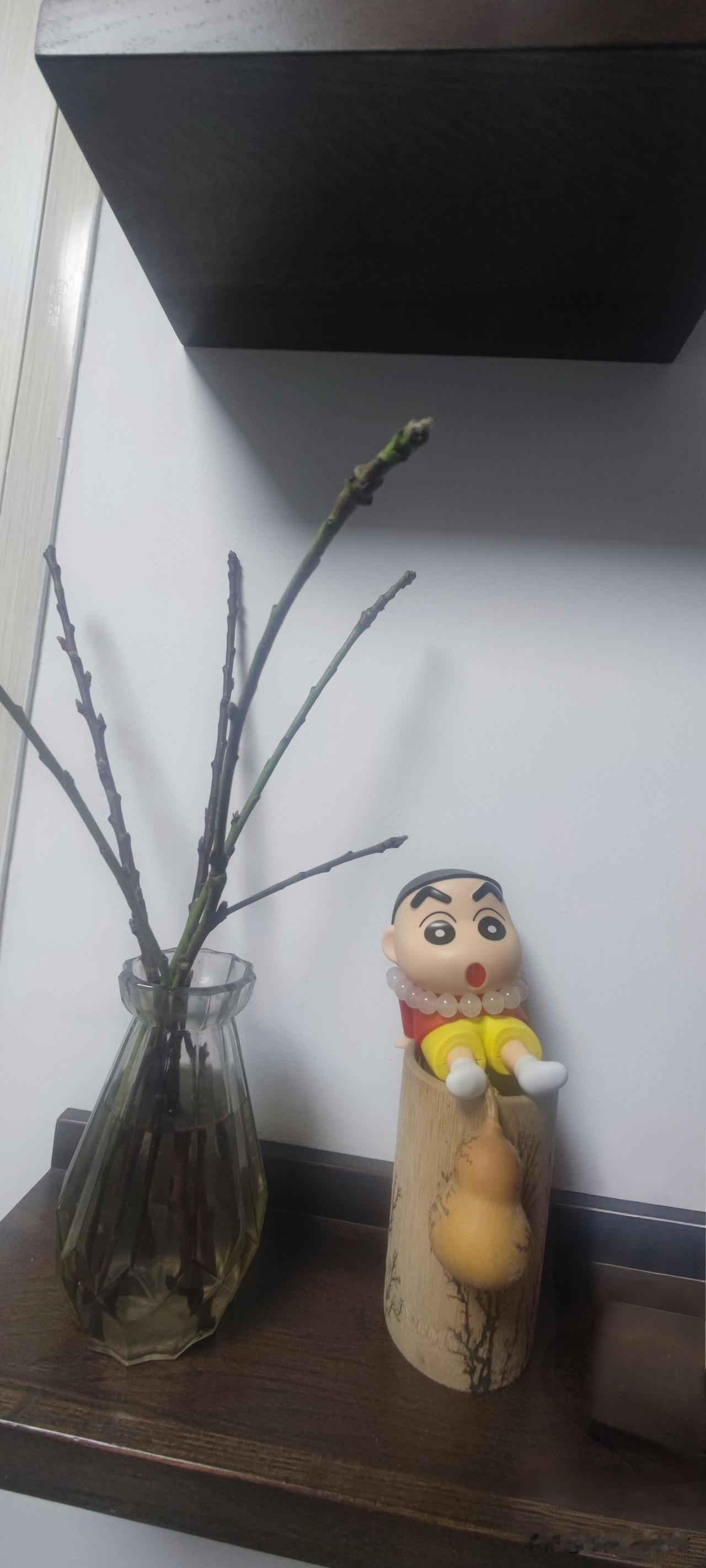 西流湖公园里有一些桃树。
我今天掰了两枝回来，栽进了瓶子里。没办法，孤独的时间太