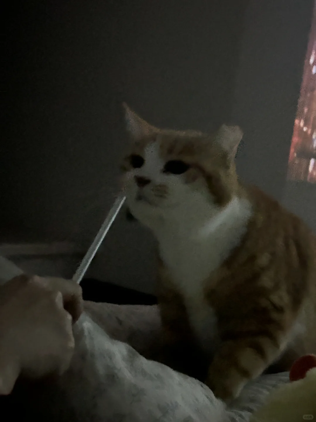 人，奶茶给我喝一口