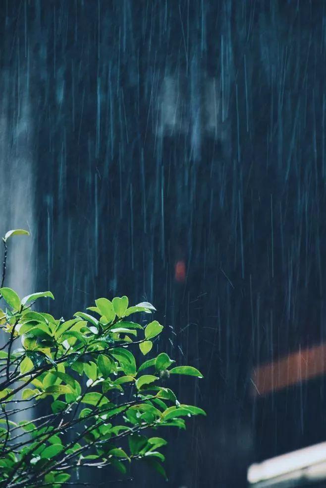 忆对中秋丹桂丛，花在杯中，月在杯中。今宵楼上一尊同，云湿纱窗，雨湿纱窗。
   