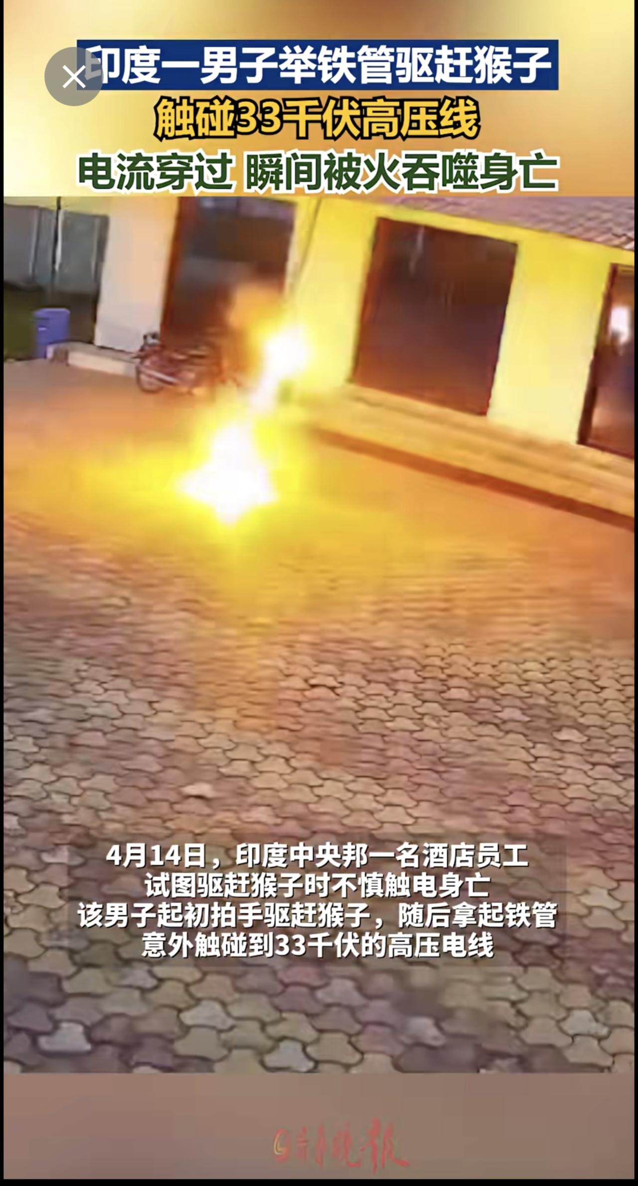 印度一男子举铁管驱赶猴子，触碰33千伏高压线，电流穿过 瞬间被火吞噬身亡.