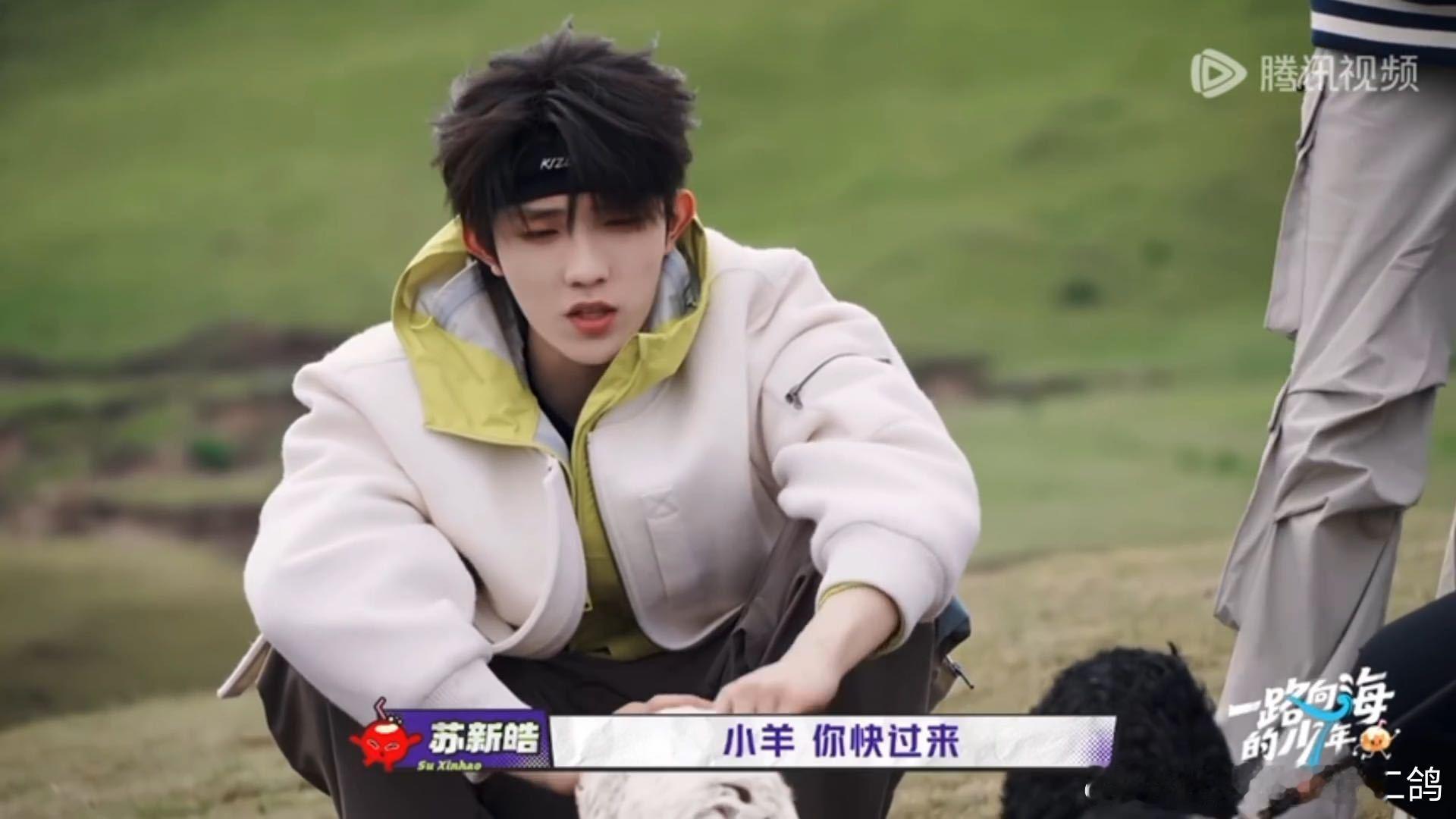 苏新皓没有人能受得了冷暴力张泽禹苏新皓抛媚眼给羊看 这只小羊确实够高冷，两个帅哥