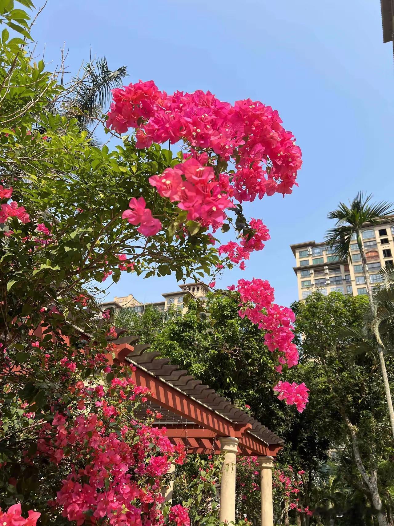 女人该具备的持家能力
 
一、财务管家能力
 
1. 清晰家庭收支，会记账、懂储