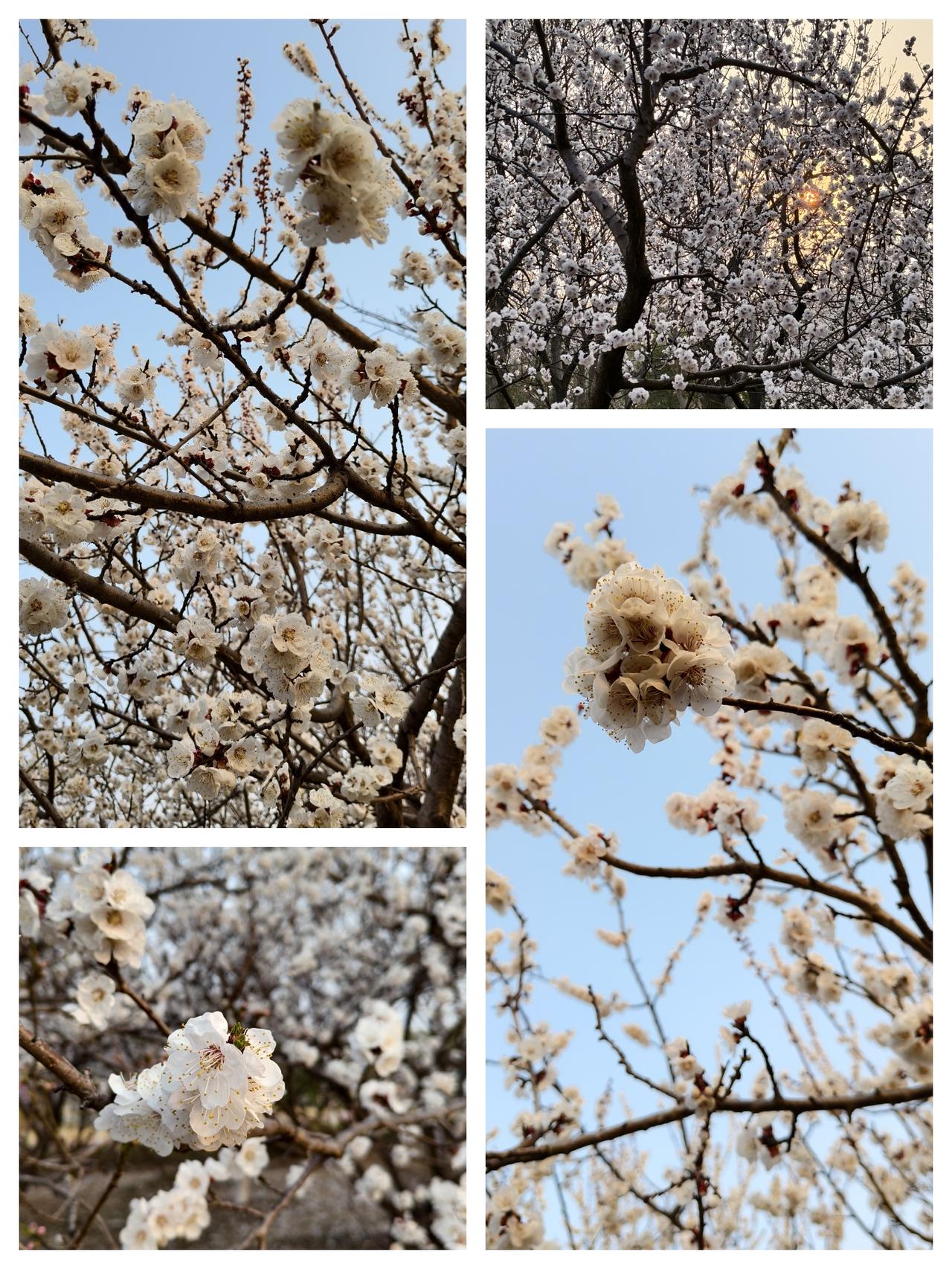 大学生在毕业之后，想要通过打工攒下100万确实是有一定的难度，但是需要给自己设置