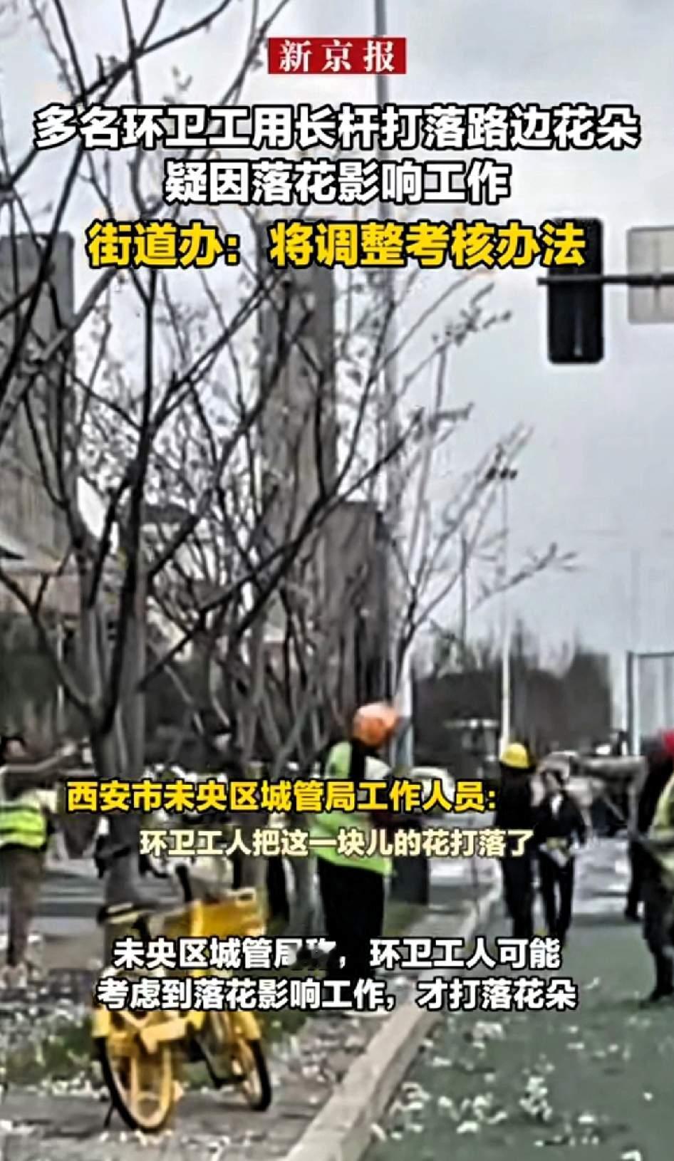 春日西安本是繁花满街的美好光景，未央区却曝出离谱一幕：多名环卫工拿着长杆打落路边