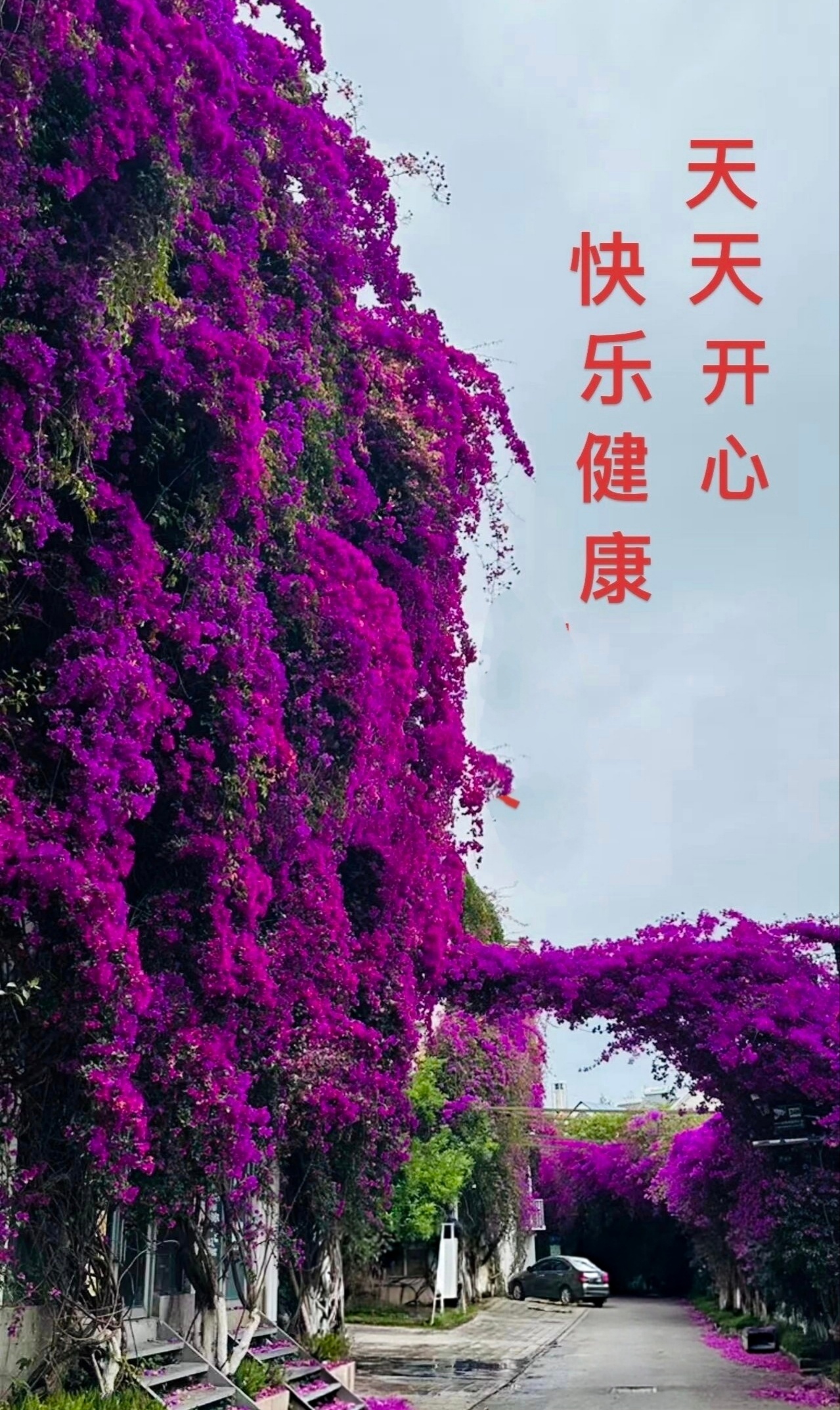 【健康养生】1）夏季食物更容易变质，剩菜剩饭应及时冷藏保存，食用前彻底加热。生熟