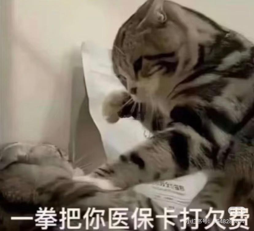 玛德，我真的特别恨喝了点猫尿就发酒疯的。真想给他两耳光，再左勾拳🤛🏻右勾拳?