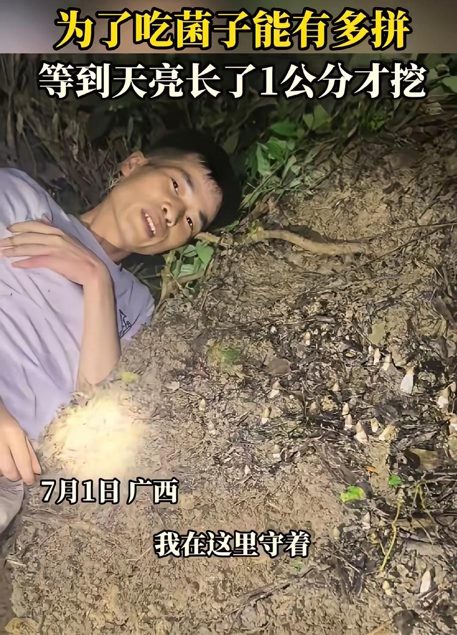 刷到广西这个大哥的操作，我直接笑到满地找头，合着现在进山找菌子已经卷到要熬夜蹲点
