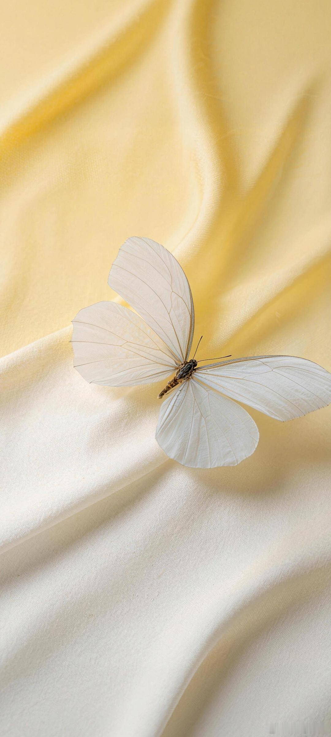 荣耀MagicOS除了升级带来稳定性提升、功能性增强之外，对于锁屏美学也是蛮认真