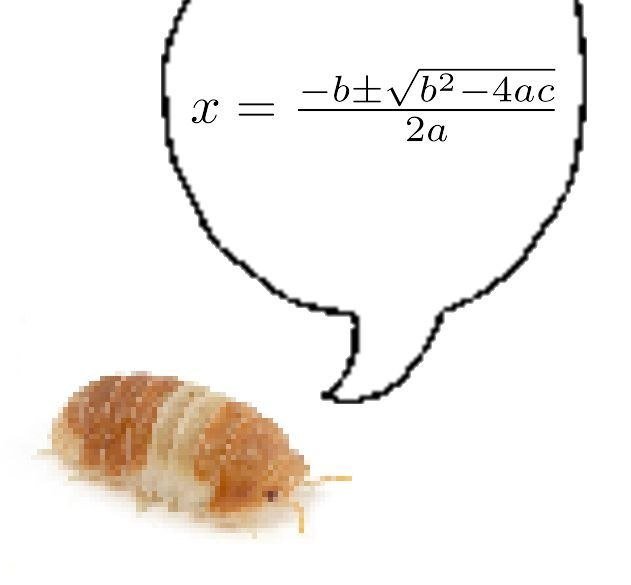 它聪明吗 ​​​