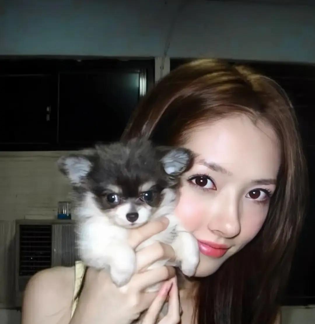 向佐情人节晒九宫格，全是和郭碧婷的雪地牵手、厨房煎蛋。

配文一句“去年看雪，今