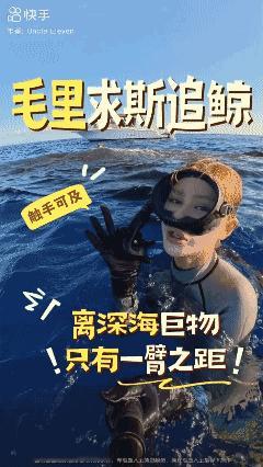 抬头就是巨型鲸体，咫尺距离解锁追鲸极致震撼 ！😱