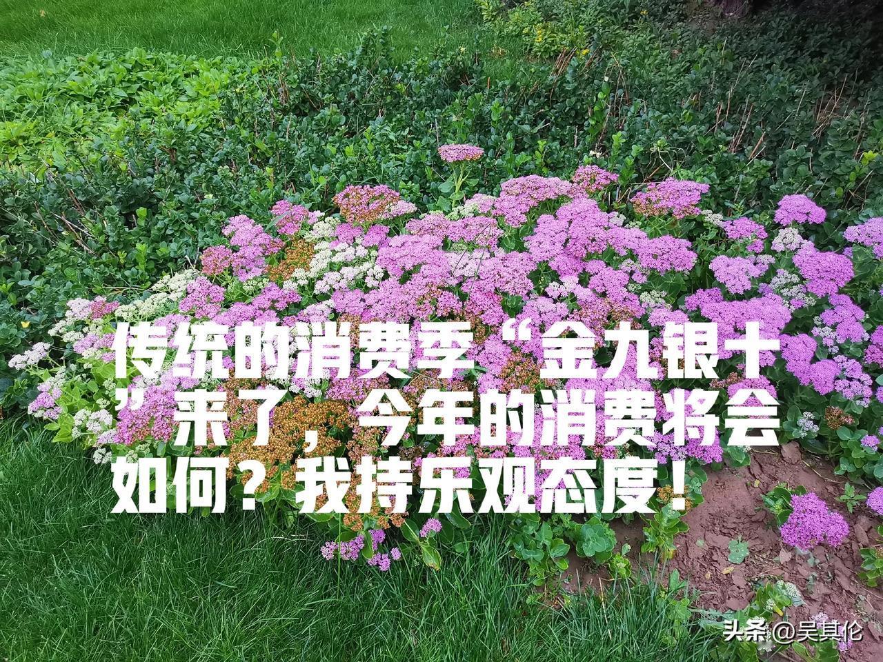 传统的消费季“金九银十”来了，今年的消费将会如何？
有人会大摇其头，理由是经济不