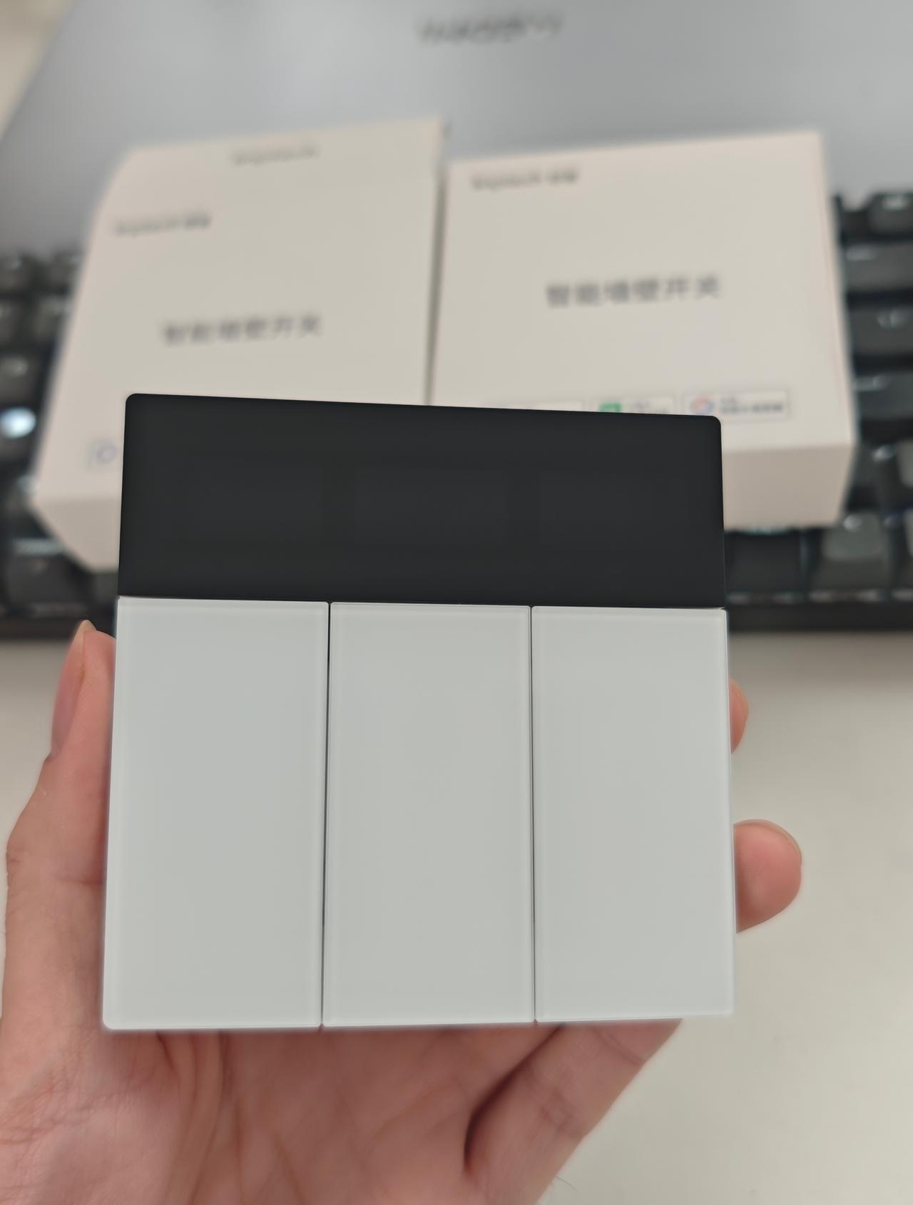 我买的两个领普的智能开关到了

我比较喜欢它这个上面带个小屏幕的设计，可以自定义