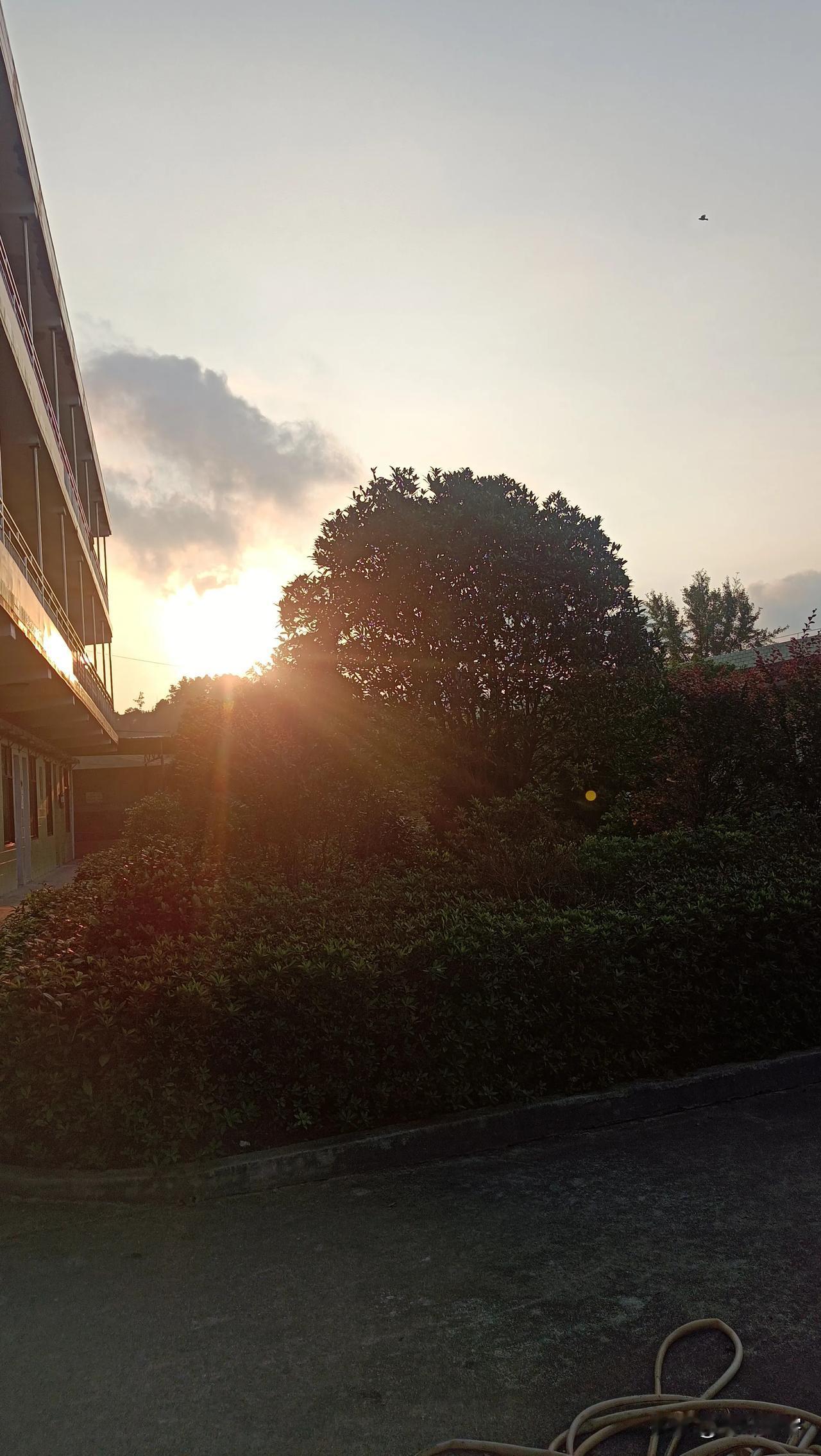 半盏清茶听夜雨，诚邀下联
上联:半盏清茶听夜雨;
下联:满怀愁绪散晨风。