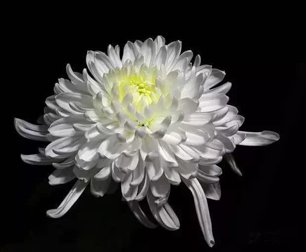 年仅41岁
[祈祷][祈祷][祈祷]