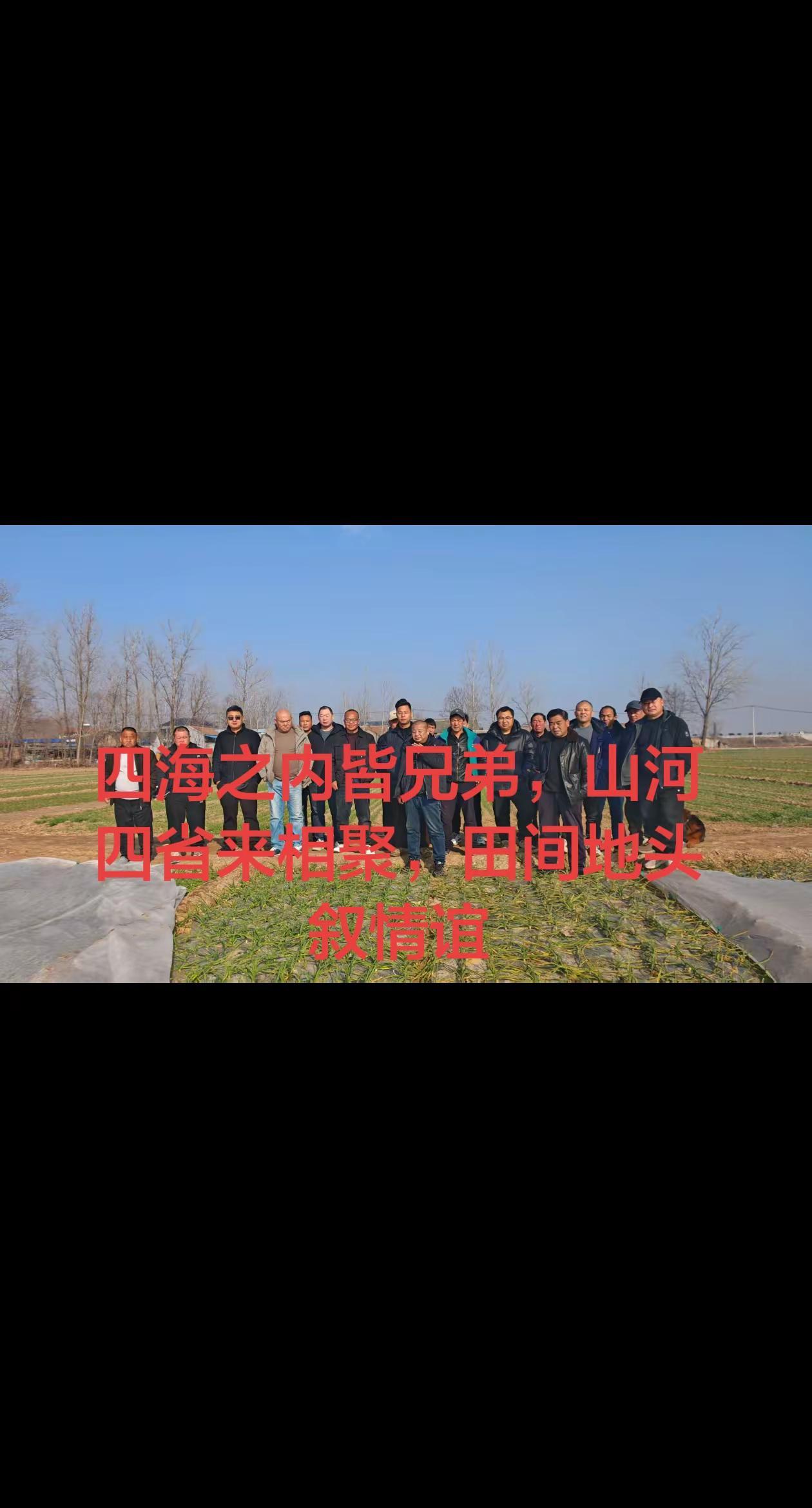 四海之内皆兄弟，山河四省来相聚，田间地头叙情谊