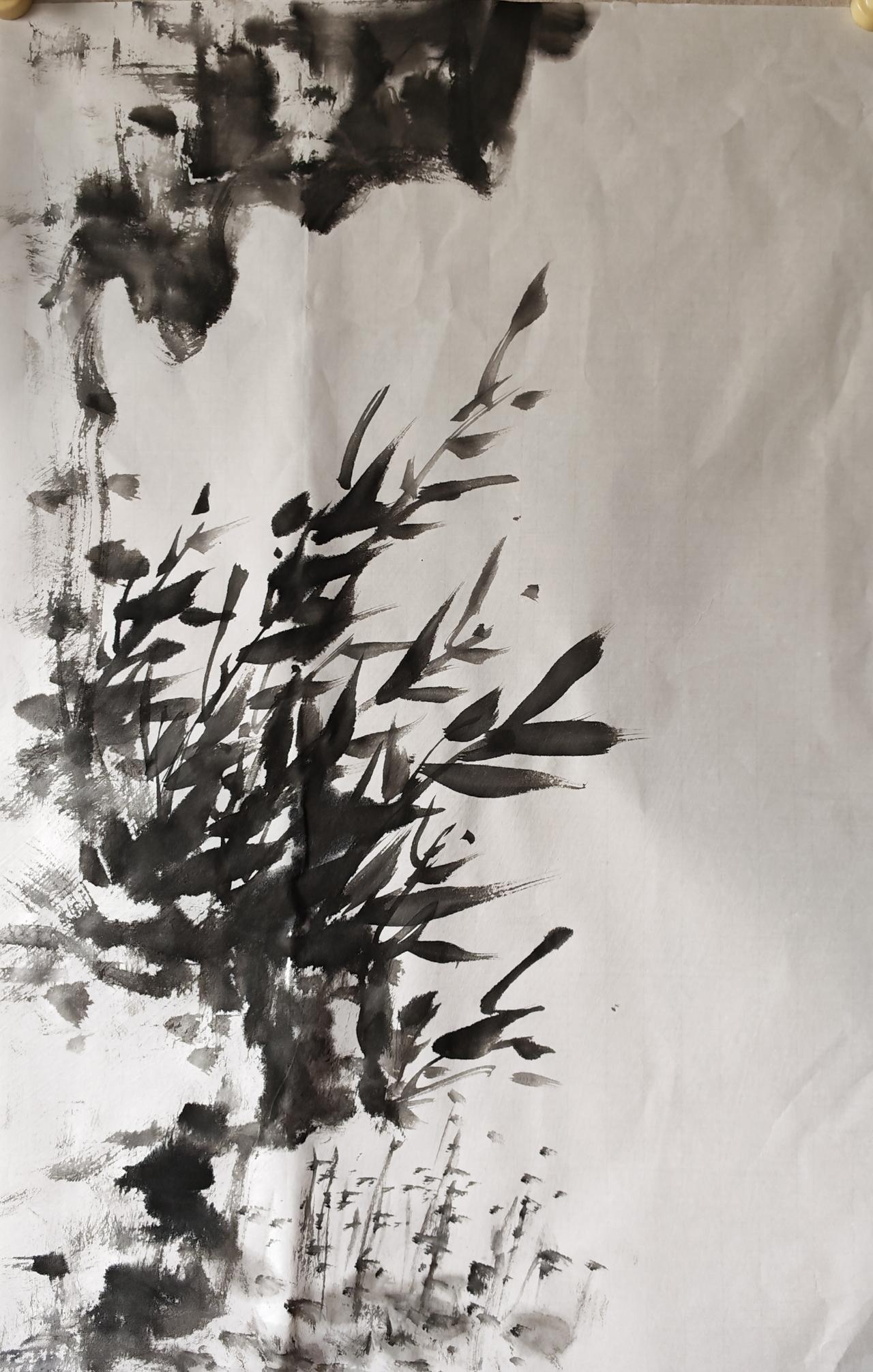 《竹下泽生记》[太阳]
竹生石畔，根扎浅泽，旁生幽草点点，亭亭而立。
竹不矜高，