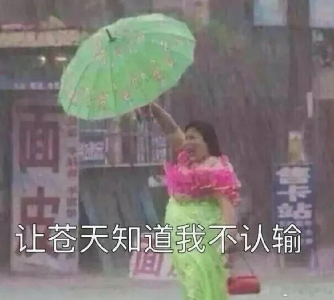 打雷惊醒了 下这么大雨 我怎么遛狗 