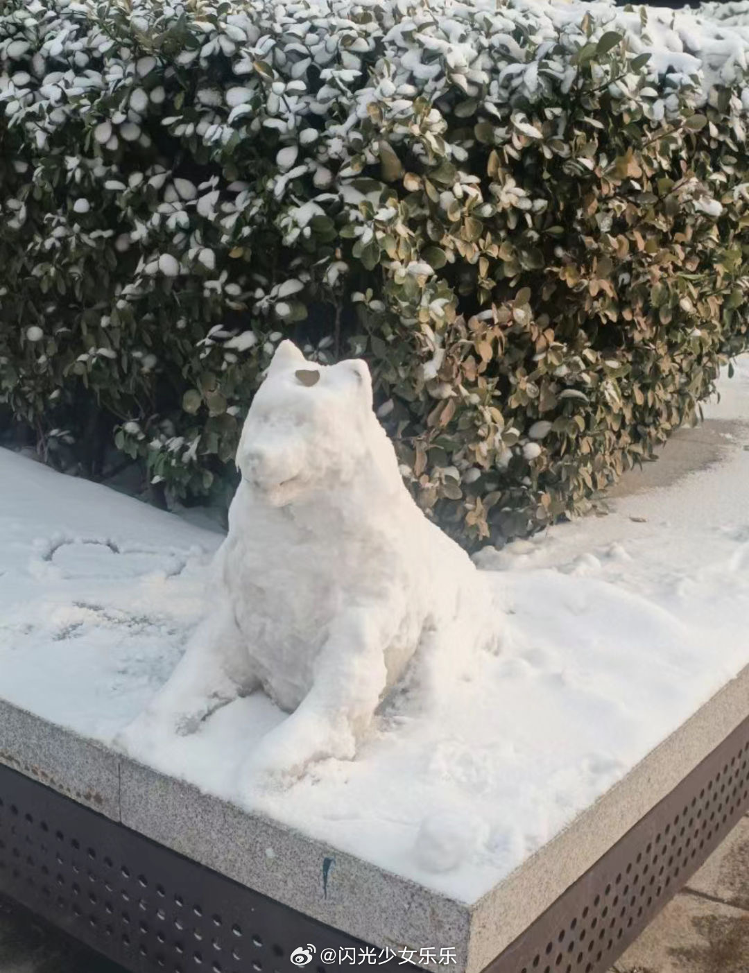 小狗雪人要被路人玩坏了[哈哈]#v笑年度大赏# ​​​