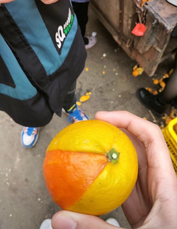 这橘子还没加载完成怎么就摘下来了