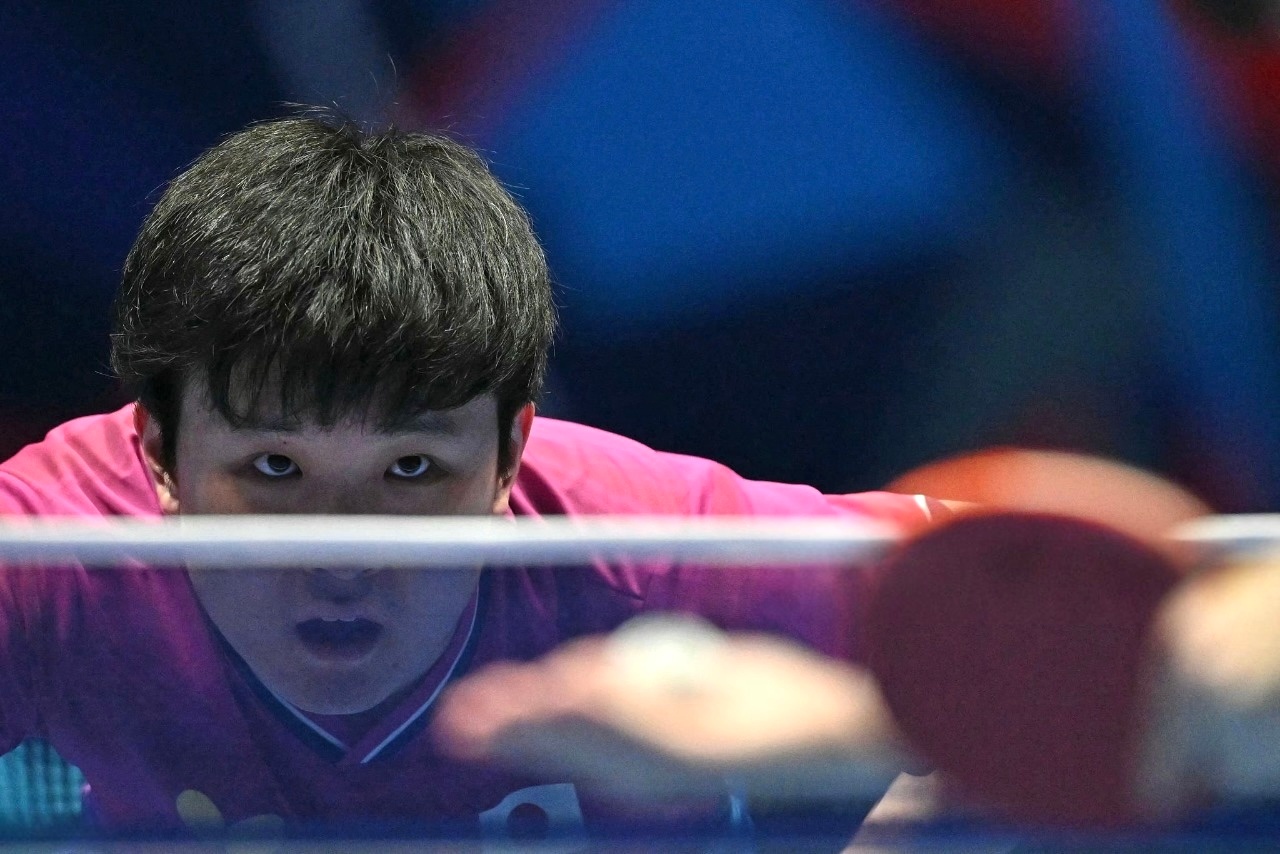 张本智和2026年伦敦世乒赛 世乒赛组图📷cr.Getty / Xinhua 