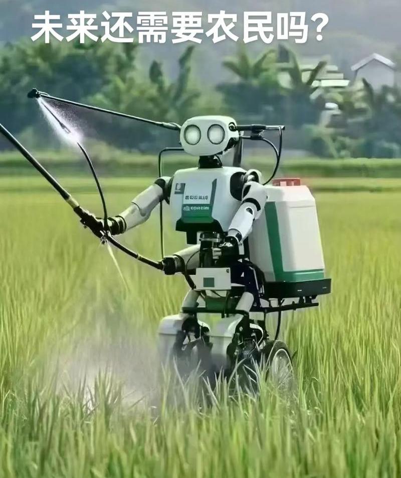 未来的人工智能
会把劳动力废掉？

         关于人工智能（AI）是否会