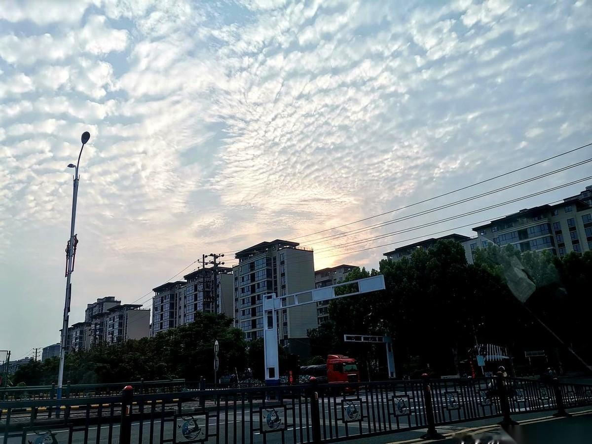 门反锁着，屋里一点动静都没有。小侄女的高考成绩页面，死死停在566分。
平时稳拿