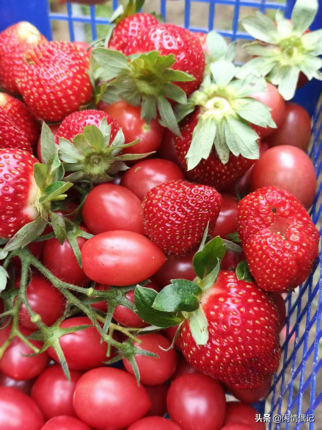 弘一法师说：“人是气死的，花是浇死的，凡是大病，必与情绪有关，长期情绪不佳，必定