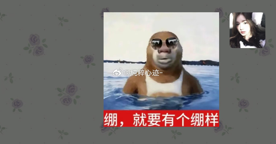 我对着这个表情包笑了好久 