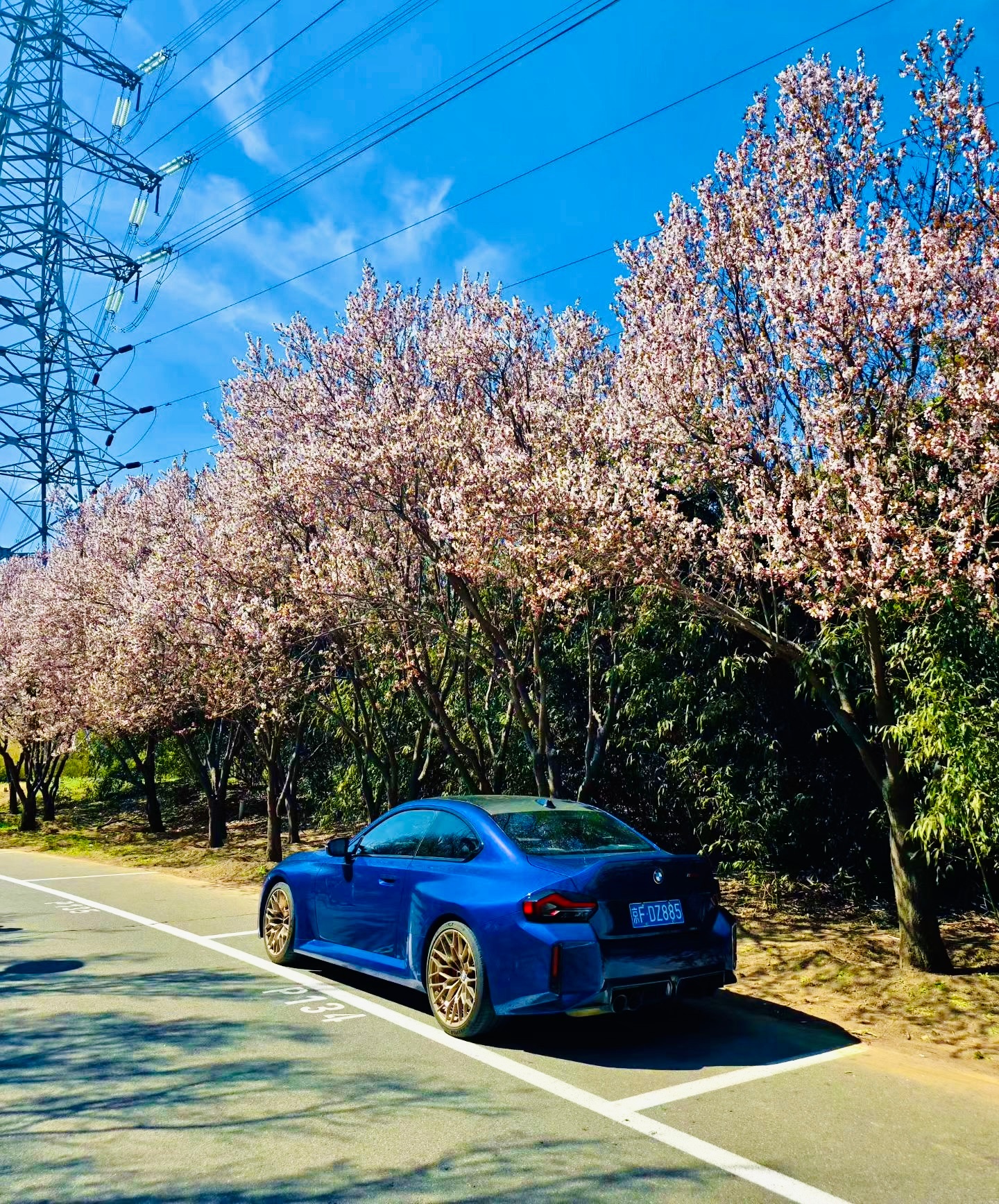 春天来了，花开了，粗去玩呀！ 