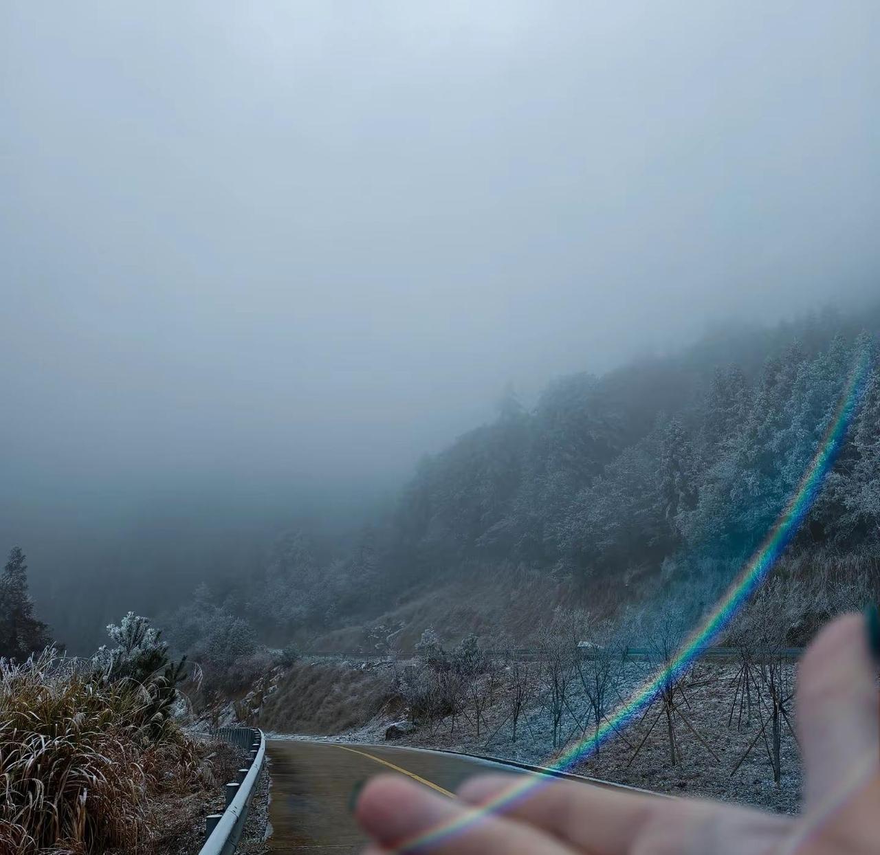 ，刺木山的雾松太征服人❤️爬山🧗