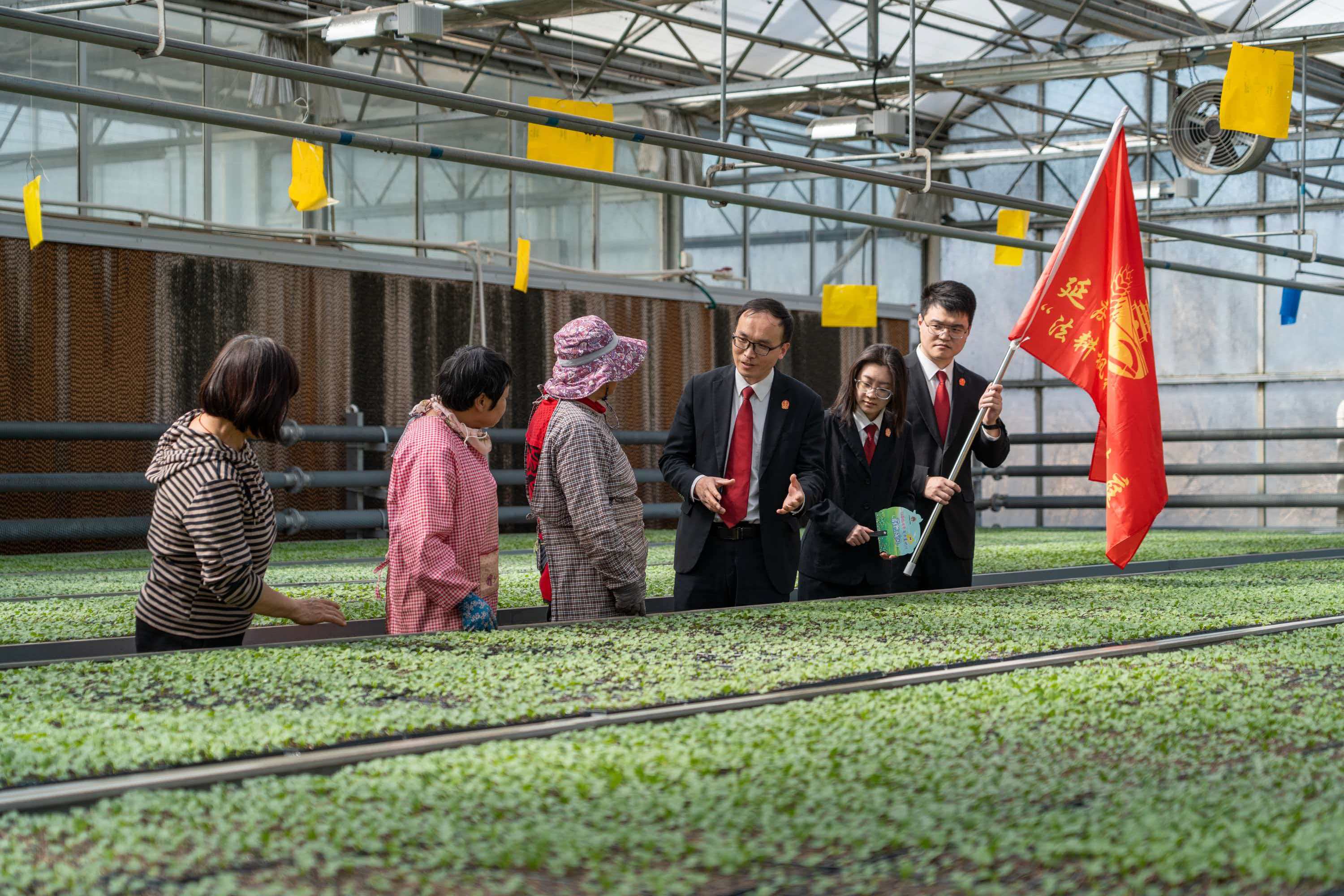 北京延庆法院护春耕，司法服务队走进田间地头普法