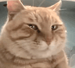 ​​​
