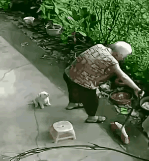 狗通人性。多养狗，少交“朋友”。