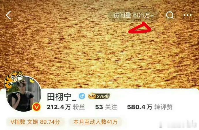 田栩宁主页访问量破1000万，梓渝也有486万，同为顶流，差距咋就这么大？是人气