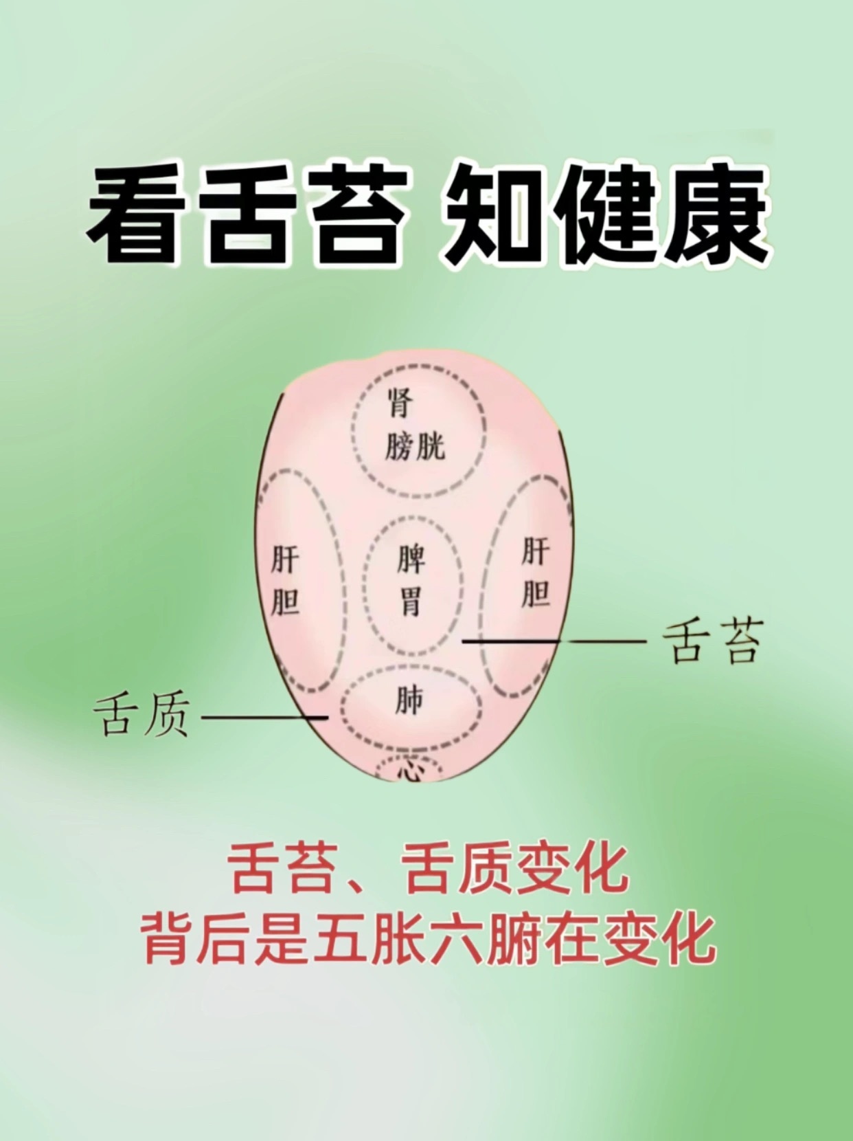 看舌苔，知健康 ​​​