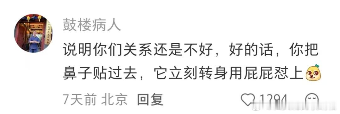 为什么用鼻子碰小猫的鼻子它会很震惊 