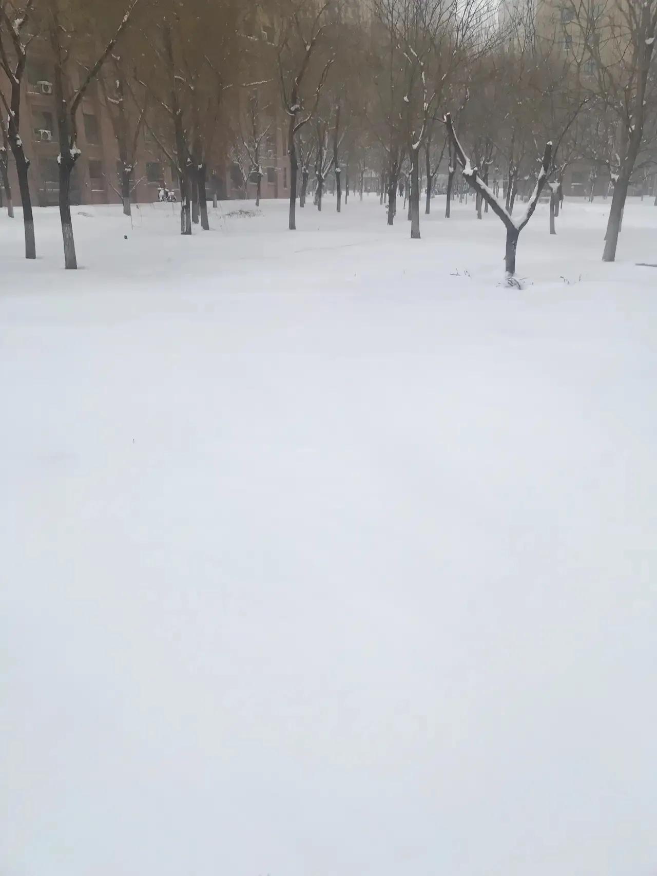 春雨端雪
春雨贵如油，大雨泛滥流。
端雪兆丰年，大雪鬼见愁。
文人墨客隔屏望雪心