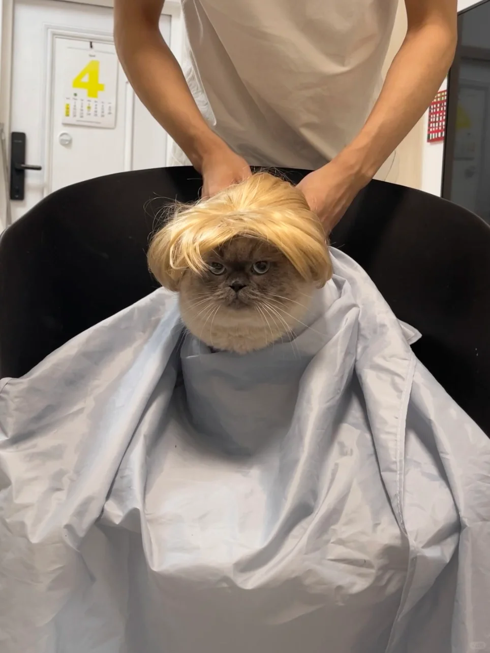 理发师说他长得像韩男