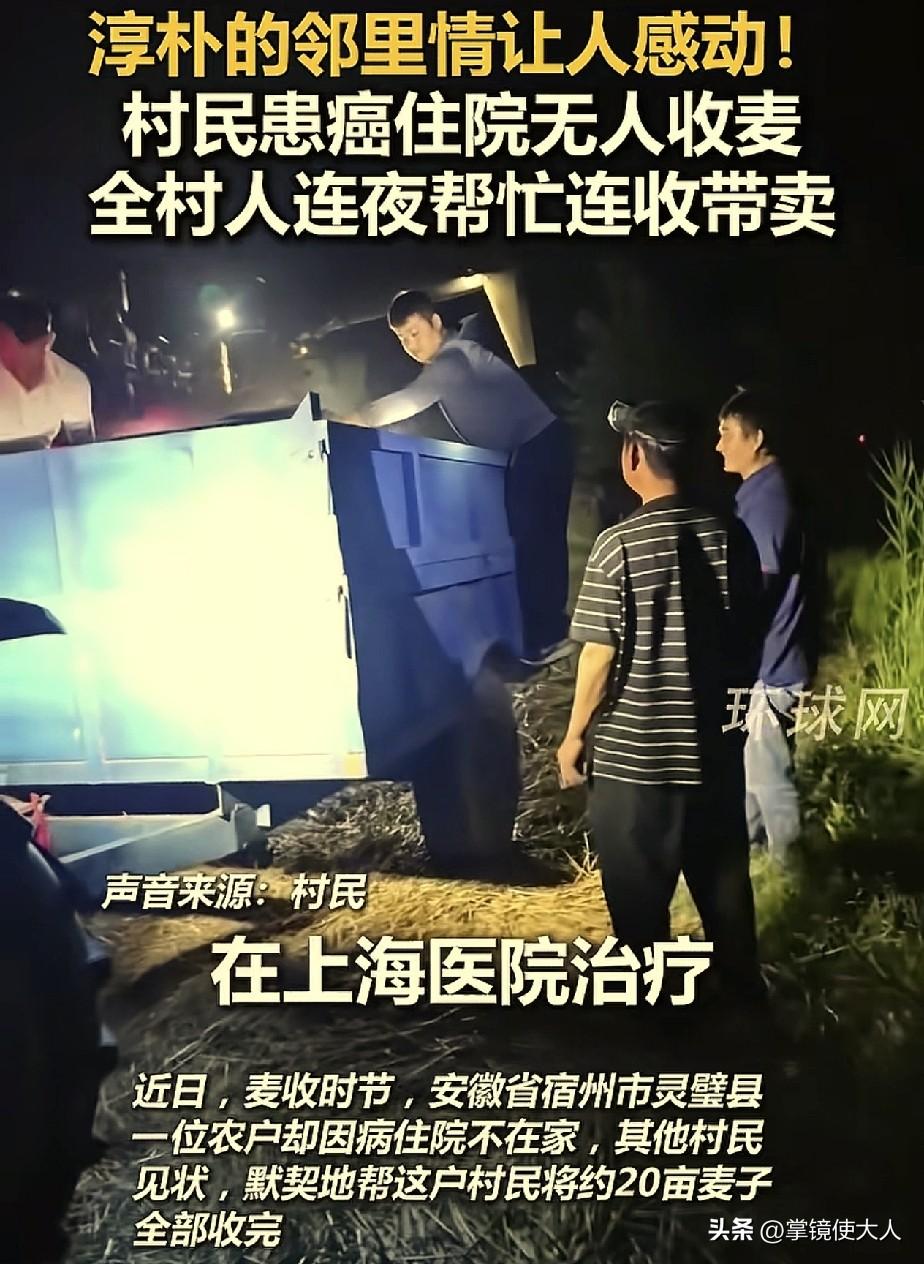 中国好邻居！安徽宿州，一个村民因患重病住院，家里人都去陪护了，没有人在家收麦，村