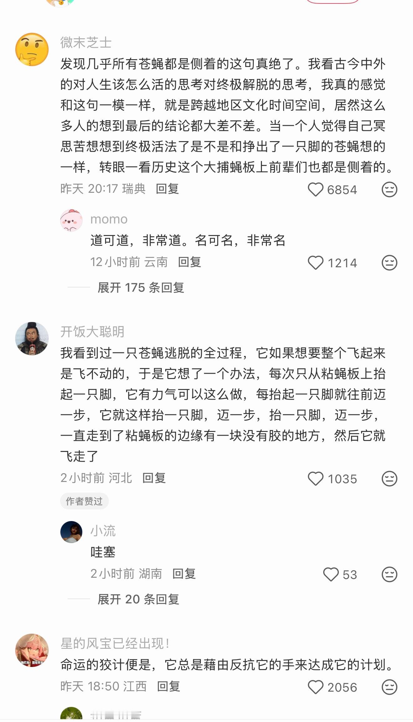 好哲学啊，几乎所有苍蝇都是侧着的 ​​​