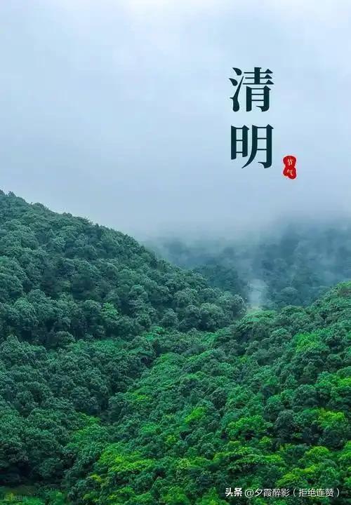 上坟祭奠有哪些需要注意的事？这些讲究别大意
 
清明前后上坟祭祖，是中国人刻在骨