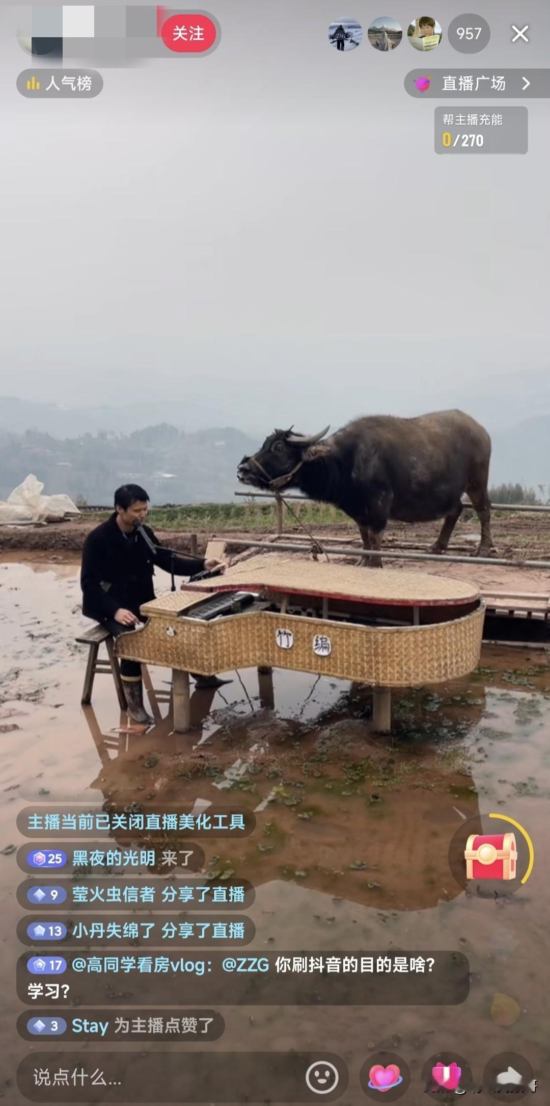 直播界又开辟新赛道了，竟然有近千人观看