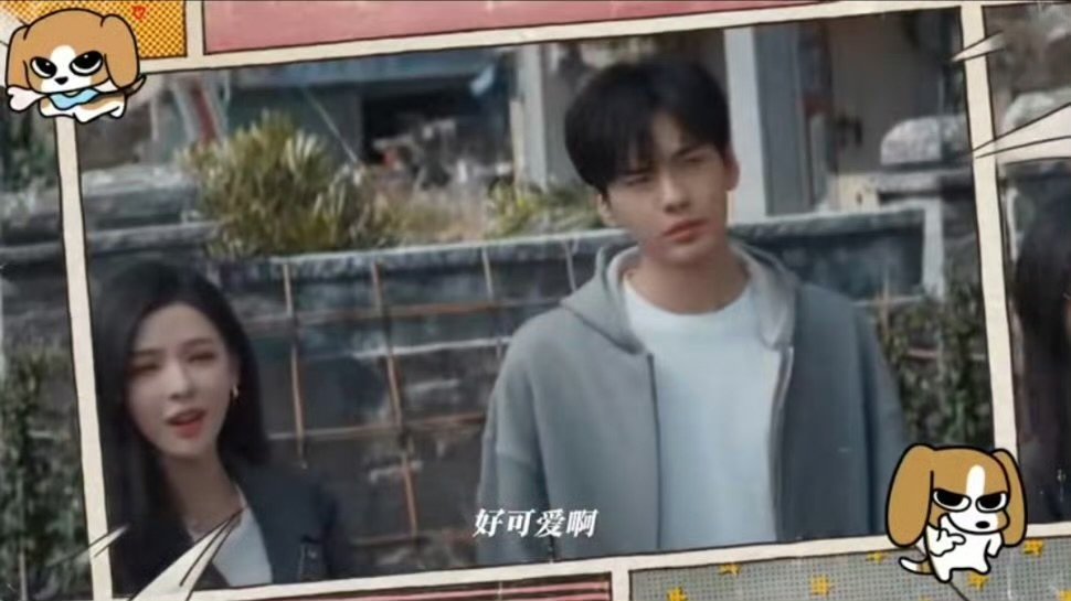 李靳屿都养比格了你让让他吧 养比格的人，脾气早就被磨平了，他要是跟你争，那肯定是